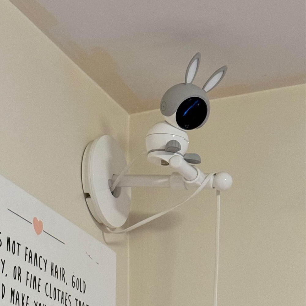 Cute Bunny Security Camera